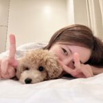 Reimi Tsutsumi Instagram - 🐇 皆さま、今年もありがとうございました！ 来年も笑顔溢れる一年となりますように…✨ 2024年も宜しくお願い致します✨🐉 . #2枚目のように躍動感溢れる年に✌️ #あんじゅは寝てたので #おんぷとゴロゴロ