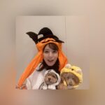 Reimi Tsutsumi Instagram - 🎃 Happy Halloween! . 今年はかぼちゃとトラとパンダになりました🐯🐼 皆さん素敵なハロウィンをお過ごし下さい☆ . #我が家は選挙特番を観ながらたこ焼きパーティー🐙 #今年もまた #母がノリノリでハロウィングッズを買っていました🎃 #りんさんカメラ目線をくれず #あんさんバッチリカメラ目線