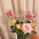 Reimi Tsutsumi Instagram - 🎎🌷 今日は母とお花屋さんでお花を買って帰宅☺︎ . 普段自らお花を買う機会はあまり無いのですが、久々に訪れたお花屋さんでウキウキワクワクしていた私。 いけたお花を眺めながら癒されています❤︎ こりゃお花屋さんに通ってしまいそうだ…🙈 . #そんな今日は雛祭り #2枚目の薔薇の色 #可愛すぎてツボ🤤 #お花のある暮らし #色々と大変な時期ですが、癒しを日常に取り入れながら共に乗り越えていきましょう✨