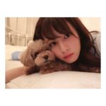 Reimi Tsutsumi Instagram - 🐶 先日のあんじゅさん。 ベッドで一緒にごろごろタイム。 それはもう、文字通りごろごろと過ごしました。 . #お仕事の疲れを癒してくれます #この時りんさんはリビングで爆睡中 #私の元気の源は #もぐもぐタイムではなく #ごろごろタイム
