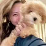 Reimi Tsutsumi Instagram - 🐇 皆さま、今年もありがとうございました！ 来年も笑顔溢れる一年となりますように…✨ 2024年も宜しくお願い致します✨🐉 . #2枚目のように躍動感溢れる年に✌️ #あんじゅは寝てたので #おんぷとゴロゴロ