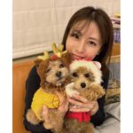 Reimi Tsutsumi Instagram - 📺 少し遅れてしまいましたが、皆さんメリークリスマスでした！🎄 我が家には小さくてモフモフのサンタクロースとトナカイが…💓 . 大好きなクリスマスシーズンが終わってしまうのは寂しいですが、また来年のクリスマスを楽しみに過ごします✨笑 . そして「Live News α」年内は今日が最後の放送になります✨ 今日も23時40分〜、是非ご覧ください🌙✨ . #あんトナカイとおんぷサンタ #となかいず🐩