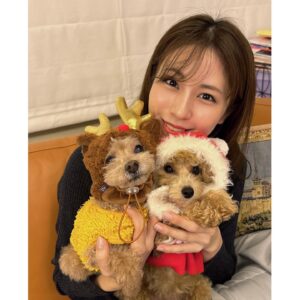 Reimi Tsutsumi Instagram - 📺
少し遅れてしまいましたが、皆さんメリークリスマスでした！🎄
我が家には小さくてモフモフのサンタクロースとトナカイが…💓
.
大好きなクリスマスシーズンが終わってしまうのは寂しいですが、また来年のクリスマスを楽しみに過ごします✨笑
.
そして「Live News α」年内は今日が最後の放送になります✨
今日も23時40分〜、是非ご覧ください🌙✨
.
#あんトナカイとおんぷサンタ
#となかいず🐩
