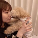Reimi Tsutsumi Instagram - ✨ 祝日の今日、2月23日。 皆さまいかがお過ごしでしょうか。 ツツミの日とも言える今日、こちらの堤はと言いますと、めざまし8のSNSチームから光り輝くゴールデン223バルーンを頂き、帰宅後は愛犬達に愛を伝えるというハッピーな過ごし方をしております。 . りんさんとあんさんのこのとっっっても嬉しそうな顔ったら…🐩 . 皆さまも残り約4時間となった今日という日を笑顔でお過ごし下さいませ✨ . #堤りんさんと堤あんじゅさん #…寝て…ないよね？