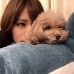 Reimi Tsutsumi Instagram - 🐶 わんこ達とゴロゴロ…❤︎ あんさんは、先日9歳のお誕生日でした🎂💓 よく子犬と間違えられますが、もう立派な大人です🐩 . . #最近は写真を全然撮っていないので2月に撮った写真を…笑 #多分載せてないはず…！ #りんさんあんさんが可愛すぎるので #たまらなくなってくっつきに行って迷惑そうな顔をされるのがいつものパターンです。