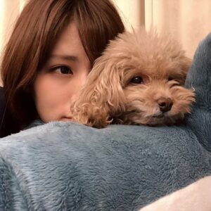 Reimi Tsutsumi Instagram - 🐶
わんこ達とゴロゴロ…❤︎ あんさんは、先日9歳のお誕生日でした🎂💓
よく子犬と間違えられますが、もう立派な大人です🐩
.
.
#最近は写真を全然撮っていないので2月に撮った写真を…笑
#多分載せてないはず…！
#りんさんあんさんが可愛すぎるので
#たまらなくなってくっつきに行って迷惑そうな顔をされるのがいつものパターンです。