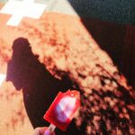 Reimi Tsutsumi Instagram - 🍧 そろそろ夏も終わりだなぁとノスタルジックな気分になっていましたが、東京では連日の30度超え。 そして更には台風も接近中という、、。 くれぐれもお気をつけ下さい。 . #まだ夏だったらしい #ストロベリーアイスで体温調節