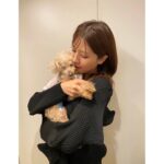 Reimi Tsutsumi Instagram - 🐩🎂 先日、我が家のりんさんが19歳になりました！ これからも元気で楽しい毎日を過ごせますように…♡ りんちゃんいつもありがとう💓 . そして私も先月29歳となりました。 20代最後の1年、何事にも全力で、笑顔で過ごしたいと思っています！ 今後ともどうぞ宜しくお願い致します🤲 . #19歳と29歳 #あんさんも一緒にお祝い #今年は特別に2匹にそっくりなケーキを🎂 #耳のつき方まで細かく再現されていて、たまらなく可愛いケーキでした🥺
