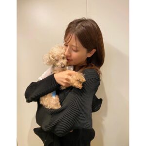 Reimi Tsutsumi Instagram - 🐩🎂
先日、我が家のりんさんが19歳になりました！
これからも元気で楽しい毎日を過ごせますように…♡
りんちゃんいつもありがとう💓
.
そして私も先月29歳となりました。
20代最後の1年、何事にも全力で、笑顔で過ごしたいと思っています！
今後ともどうぞ宜しくお願い致します🤲

.
#19歳と29歳
#あんさんも一緒にお祝い
#今年は特別に2匹にそっくりなケーキを🎂
#耳のつき方まで細かく再現されていて、たまらなく可愛いケーキでした🥺