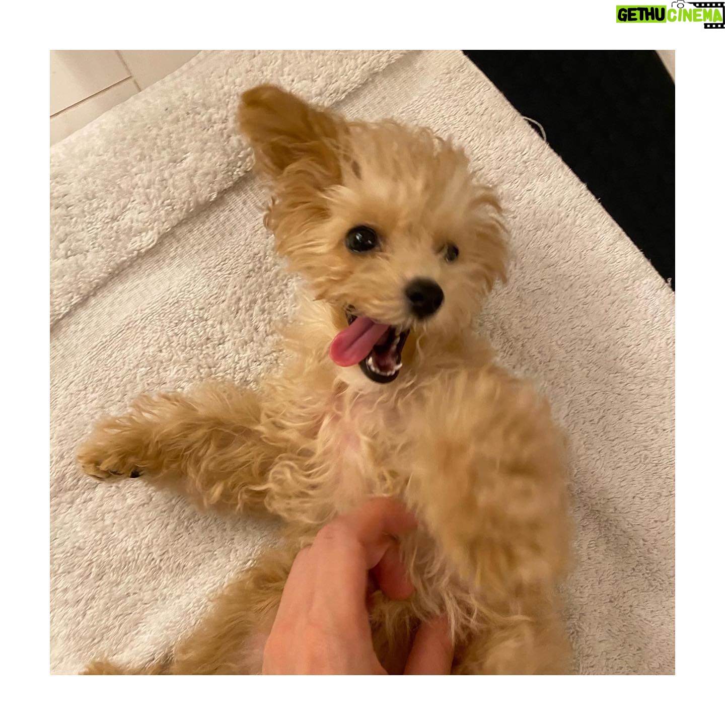 Reimi Tsutsumi Instagram - đŠ äťćĽăă11ćđ ăăăŚäťćĽăŻâăăăăăăâă§çŹăŽćĽă ăăă§ăđś ç§ăăäťäşĺăŤćă厜ăŽăăăéă¨ć˛˘ĺąąéăă§ăăžăăđŠđ ăăĄăŽĺéăăćĽă
沢幹ăŽäşăĺŚă°ăăŚăăăă沢幹ăŽćă貰ăŁăŚăăžăă ăĄăăă¨ăčżăăăŞăă¨âŚďź äťăžă§ăăăăăăăăăŁă¨ăăŁă¨ĺ¤§ĺă§ĺ¤§ĺĽ˝ăăŞçšĺĽăŞĺĺ¨ă§ă⨠. #ăżăŞăăăŠăăĺăăžă㌠#ăăăˇăă§ă #7ćăŤćă厜ăŤäť˛éĺ
Ľăăăžăă #ăăŽăăăăšăăźăă§ĺ¤§ăăăŞăŁăŚăžă #ăžă 6ăśćăŞăŽăŤăăăăăă
ăŽăľă¤ăşăčś
ăăžăă #ăăç§ăŽăč
šăŽä¸ă§ă˛ăŁăăčżăŁăŚăžăă #ĺšłć°ă§éĄăéŚăč¸ăă§ăăžă #ă§ăĺŻćăăŽă§č¨ąăăžă #ăăăăăŻăăăŞăăăˇă¨äť˛čŻăăăŁăŚăžă #ăăăă
ă¨ăă㡠#ăăăăăăă¤ăžă§ăä¸çˇ #2ćçŽăŻăăăăă¨ăăăă #3ă4ćçŽăŻăă㡠#ăă¤ăăăăŞćăă§ç§ăŽçŽăŽĺă§ă¸ăżăăżăăŚăžă #ăłăŠăźă¸ăĽăŽăťăłăš