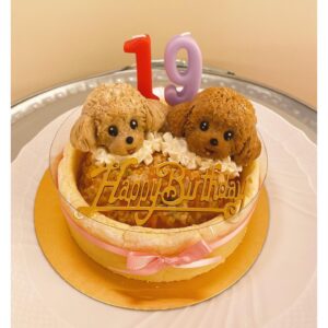 Reimi Tsutsumi Instagram - 🐩🎂
先日、我が家のりんさんが19歳になりました！
これからも元気で楽しい毎日を過ごせますように…♡
りんちゃんいつもありがとう💓
.
そして私も先月29歳となりました。
20代最後の1年、何事にも全力で、笑顔で過ごしたいと思っています！
今後ともどうぞ宜しくお願い致します🤲

.
#19歳と29歳
#あんさんも一緒にお祝い
#今年は特別に2匹にそっくりなケーキを🎂
#耳のつき方まで細かく再現されていて、たまらなく可愛いケーキでした🥺