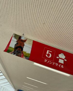 Reina Fujie Instagram - ♥
日本ダービー🏇

#日本ダービー #競馬
#ダノンデサイル
