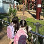 Reina Asami Instagram - 昨日は幼稚園お休みで、娘の相棒と動物園へ🐻 いつも息子がいるので、娘だけとお出かけは久しぶり🤲 ゆっくりのんびり沢山遊びました🫶 @babysleepschool_tokyo_yuko ちゃんが一生懸命ケンケンパの⭕️を書いてくれてる🤲 沢山歩いくから、動きやすい服装で。 @nave_jp のニットカーデはお尻まで隠れるシルエットが好き❤️