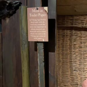 Rekha Shankar Instagram - thank you #Dublin for the history lessons, views, foxes, and the toilet paper exhibit at @dubliniaviking!