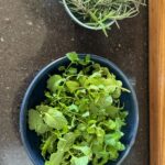 Rekha Bhardwaj Instagram – My very first harvest of rosemary and mint which i planted using small saplings from Kundan plant nursery,Mumbai in Pvc pipe vertical garden towers after watching videos of @vegroof calling Mithileshji who very kindly guided and then saw another reel about pruning regularly to get better yield and saving plants from drying up !l#balconygardening #containergardening #pvcpipetowergardening #bliss #nature #gratitude