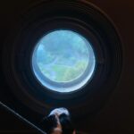 Renée Felice Smith Instagram – stay curious.

#gustheenglishbulldogrescue