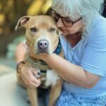 Renée Felice Smith Instagram - If only 6% more of us would adopt from shelters/ rescues rather than purchase dogs we would no longer have an overpopulation problem and could stop the senseless killing of animals in our nation’s shelters. BUT ALSO SPAY AND NEUTER YOUR DOGS to keep them out of the shelter and in homes treated like the angels they are! Search low cost spay and neuter clinics in your area! ALL OF OUR PUPS PICTURED WERE AT ONE TIME IN A SHELTER OR RESCUE aka if you have a fave breed you can find them in the shelter or rescue too! ❤️❤️❤️ #nationalbestfriendday #dogsovereverythingelse