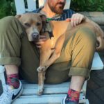 Renée Felice Smith Instagram - If only 6% more of us would adopt from shelters/ rescues rather than purchase dogs we would no longer have an overpopulation problem and could stop the senseless killing of animals in our nation’s shelters. BUT ALSO SPAY AND NEUTER YOUR DOGS to keep them out of the shelter and in homes treated like the angels they are! Search low cost spay and neuter clinics in your area! ALL OF OUR PUPS PICTURED WERE AT ONE TIME IN A SHELTER OR RESCUE aka if you have a fave breed you can find them in the shelter or rescue too! ❤️❤️❤️ #nationalbestfriendday #dogsovereverythingelse