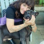 Renée Felice Smith Instagram - If only 6% more of us would adopt from shelters/ rescues rather than purchase dogs we would no longer have an overpopulation problem and could stop the senseless killing of animals in our nation’s shelters. BUT ALSO SPAY AND NEUTER YOUR DOGS to keep them out of the shelter and in homes treated like the angels they are! Search low cost spay and neuter clinics in your area! ALL OF OUR PUPS PICTURED WERE AT ONE TIME IN A SHELTER OR RESCUE aka if you have a fave breed you can find them in the shelter or rescue too! ❤️❤️❤️ #nationalbestfriendday #dogsovereverythingelse