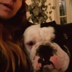 Renée Felice Smith Instagram - If only 6% more of us would adopt from shelters/ rescues rather than purchase dogs we would no longer have an overpopulation problem and could stop the senseless killing of animals in our nation’s shelters. BUT ALSO SPAY AND NEUTER YOUR DOGS to keep them out of the shelter and in homes treated like the angels they are! Search low cost spay and neuter clinics in your area! ALL OF OUR PUPS PICTURED WERE AT ONE TIME IN A SHELTER OR RESCUE aka if you have a fave breed you can find them in the shelter or rescue too! ❤️❤️❤️ #nationalbestfriendday #dogsovereverythingelse