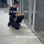 Renée Felice Smith Instagram - @istandwithmypack to the rescue! Used to be puppies would fly out the shelter doors to adopters. Not anymore. This little doll baby is just 6 months old 28lbs. She spent 30 days waiting in the shelter with ZERO interest. She was cleared for euthanasia. New life = New name: 🖤JET🖤 Please consider donating to her care or shopping the rescue Wish List to send some love! It’s how we show our appreciation for this tiny, beautiful life saved. Thanks to rock star foster aunties @monikafelicesmith and @reneefelicesmith for stepping up and scooping up and saving her life! Share this video to share the joy and spread the word about shelter dogs. Drop a 🖤 to welcome Jet to the family! I love her!! Thank you @lancasteranimalslaco for taking care of her. Staff is awesome but your policies are ridiculous, out dated and deadly. 🙅🏻‍♀️ and no one who can change it gives a fuck. #A5620549 #seenequalssaved #losangelesadoptabledogs