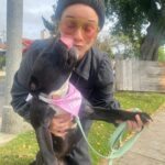 Renée Felice Smith Instagram - my girl got adopted today ❤️‍🔥😭❤️‍🔥 I love her for life and miss her already! she’s my second foster and wow, this process is no joke. I’m feeling all the feels, but mostly just grateful I went to the shelter and pulled her when I did cause she wouldn’t be around to be adopted today if I hadn’t. DOGS OVER EVERYTHING ELSE. ❤️ #fosteringsaveslives @istandwithmypack