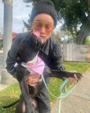 Renée Felice Smith Instagram - my girl got adopted today ❤️‍🔥😭❤️‍🔥 I love her for life and miss her already! 

she’s my second foster and wow, this process is no joke. I’m feeling all the feels, but mostly just grateful I went to the shelter and pulled her when I did cause she wouldn’t be around to be adopted today if I hadn’t. 

DOGS OVER EVERYTHING ELSE. ❤️

 #fosteringsaveslives @istandwithmypack