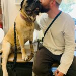 Renée Felice Smith Instagram - Hi Velmie, I miss you. We all do. ♥️♥️♥️ #velmathebullmastiff #velmaforever