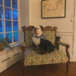 Renée Felice Smith Instagram – Christyyymistttyyyy pt I