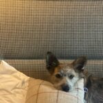 Renée Felice Smith Instagram – everywhere you look…