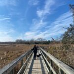 Renée Felice Smith Instagram - get thee to the creek!