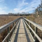 Renée Felice Smith Instagram - get thee to the creek!