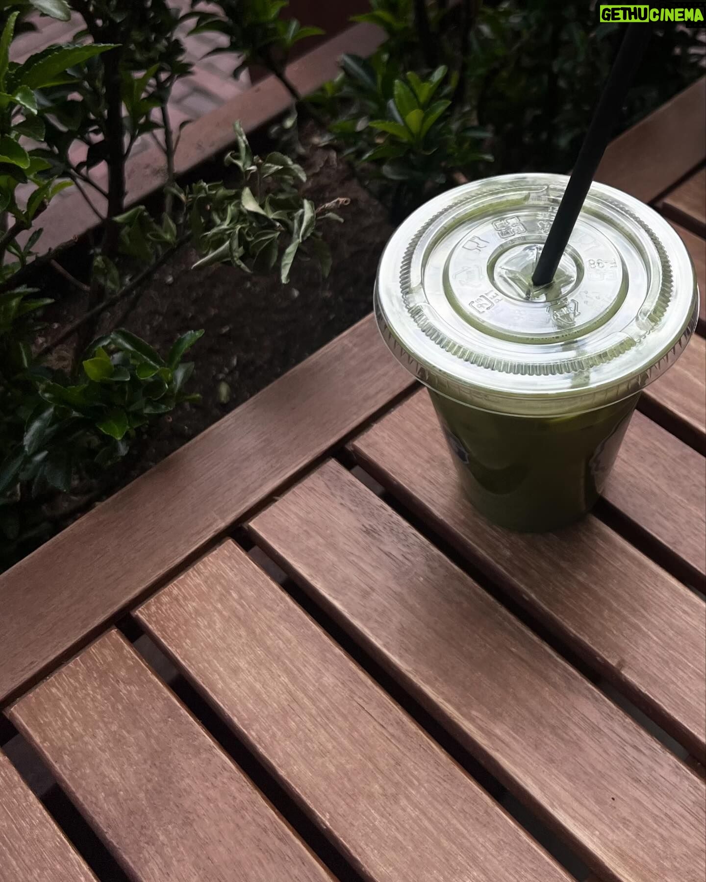 Renée Murden Instagram - Sundays are for @alo and matcha 🍵 #alopartner