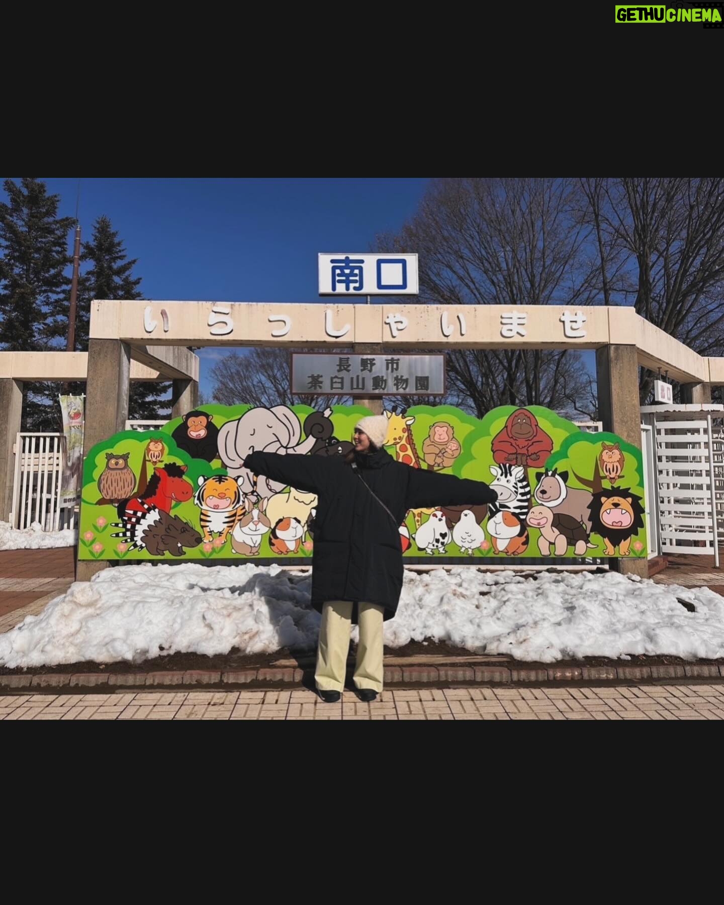 Ren Ishikawa Instagram - #サ旅 @長野🌿 少し前に、ずっと行ってみたかったThe Saunaへ! 雪の中でのアウトドアサウナ、最高すぎて幸せの極みだった。。 しっかり整った後は美味しいお蕎麦を食べて、茶臼山動物園で推し活🐅❤️🔥 夜は松本城のプロジェクションマッピングを観に。 親友たちとドライブしながら、趣味を大満喫できたオフでした♨️ #dayoff #長野 #サウナ #サ活 #推し活 #茶臼山動物園