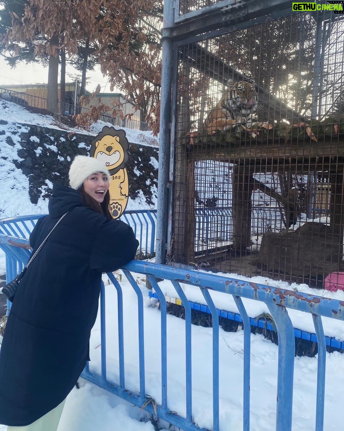 Ren Ishikawa Instagram - #サ旅 @長野🌿 少し前に、ずっと行ってみたかったThe Saunaへ! 雪の中でのアウトドアサウナ、最高すぎて幸せの極みだった。。 しっかり整った後は美味しいお蕎麦を食べて、茶臼山動物園で推し活🐅❤️🔥 夜は松本城のプロジェクションマッピングを観に。 親友たちとドライブしながら、趣味を大満喫できたオフでした♨️ #dayoff #長野 #サウナ #サ活 #推し活 #茶臼山動物園
