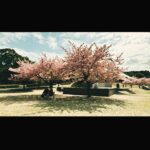 Ren Ishikawa Instagram - いよいよ明日☕️ 「#純喫茶イニョン」全4話一挙放送！ 一気に結末まで追えます☺️ じんわりと心に響く、とても素敵なストーリーに完成しているので、ぜひたくさんの方に観ていただきたいです！ 撮影の思い出たち🌹 1日1日が濃くて、皆さんが温かくて優しくて。 のびのびお芝居させていただけた大好きな現場でした。 #チャンソン さん #水橋研二 さん #監督ズ 🫶 #1　20:00～20:20＜フジテレビTWO ドラマ・アニメ＞ #2　20:20～20:40＜ひかりＴＶチャンネル＞ #3　20:40～21:00＜フジテレビTWO ドラマ・アニメ＞ #4　21:00～21:20＜ひかりＴＶチャンネル＞
