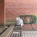 Rena Takeda Instagram - 明日の夜！11:40〜 おいハンサム‼︎2 第二話🐭 ツルツルピカピカしたものの影には ゴミが隠れているかも？？ 分からないものを批評するな。 良く知ってから判断したいものですねえ。 2話もお楽しみに！！