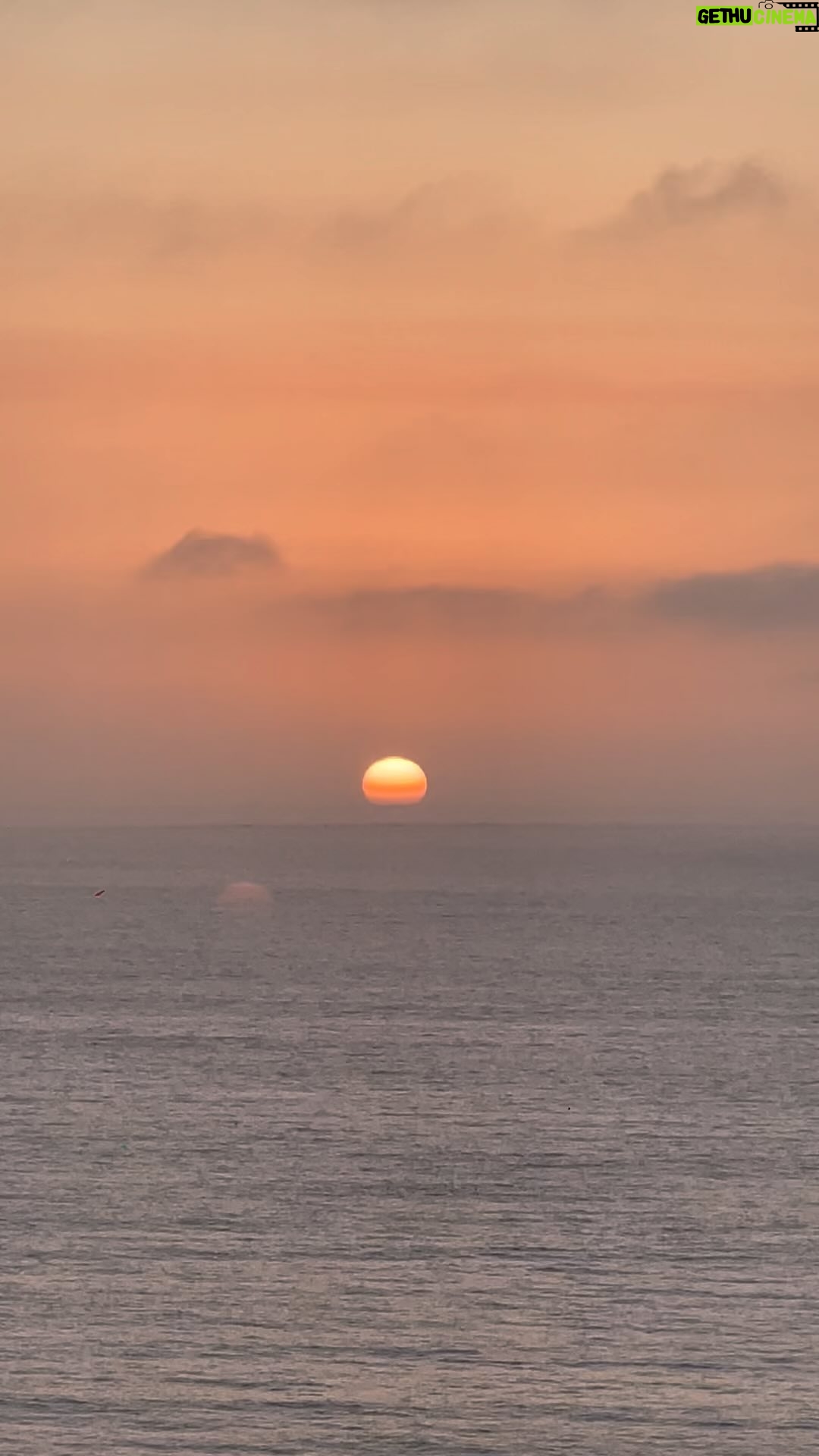 Renata Bravo - 1K Likes - No me cansaré jamás de ver las puestas de sol, todas son distintas, marcan una línea de tiempo, me sitúo en el día vivido, agradezco tener más experiencias que ayer , de seguir viva, además de entender un poco más cómo funciona la naturaleza y sus distintas especies, con la puesta de sol los pájaros vuelan siempre en la misma dirección en busca de su refugio, cómo cuando uno era niño y te decían vuelve cuando se entre el sol 🙏🙌🌞