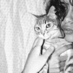 Renata Vaca Instagram – Proud de haberme convertido en la señora de los gatos (de lo que me andaba perdiendo).