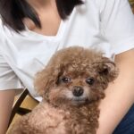 Renci Yeung