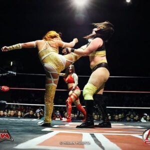 Renee Michelle Instagram - Debutando en Tijuana, México. Fue un momento tan emocionante en AAA y conocer a los fans. Gracias. 💋💛

#AAA #tijuana #méxico #debut #luchalibre #mexico #winter #2024 wrestling #prowrestling #emw #munipalauditorium #february #febrero