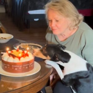 Renee O'Connor Instagram - Happy Birthday to my beautiful, spiritual, hilarious mother, who is always the first one to jump in and help us all. You still bring the sunshine into my room! Love you! 🌻🌻🌻 @sandrawilson709