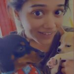 Renjini Kunju Instagram - “Paw family recap 2023: A year filled with furry love, playful moments, and unforgettable paw prints. Here’s to more wagging tails, wet noses, and cozy cuddles in 2024! 🐾❤️ #PawFamily #NewYearJoy”
