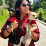 Renjini Kunju Instagram – “Christmas cheer is better with a purr and a wag.”

📷 @shadnsha 

#christmas #pawfamily #christamasholidays