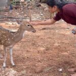 Reshma Venkatesh Instagram - மானே மானே!!! i wanna be you❤️ The cutest😘 #zoo #love #sweet #trueones #pure #positivevibes #loveall #fanfamily #lovetotravel #spreadlove #positivevibes