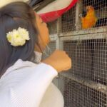 Rhema Ashok Instagram – Meet my dancing partner from Kerala 🦜♥️

Met this beauty in Munnar! Dancing parrot 🥹
Isn’t she cute.