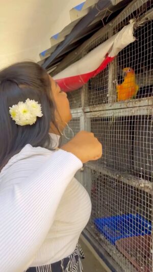 Rhema Ashok Instagram - Meet my dancing partner from Kerala 🦜♥️

Met this beauty in Munnar! Dancing parrot 🥹
Isn’t she cute.