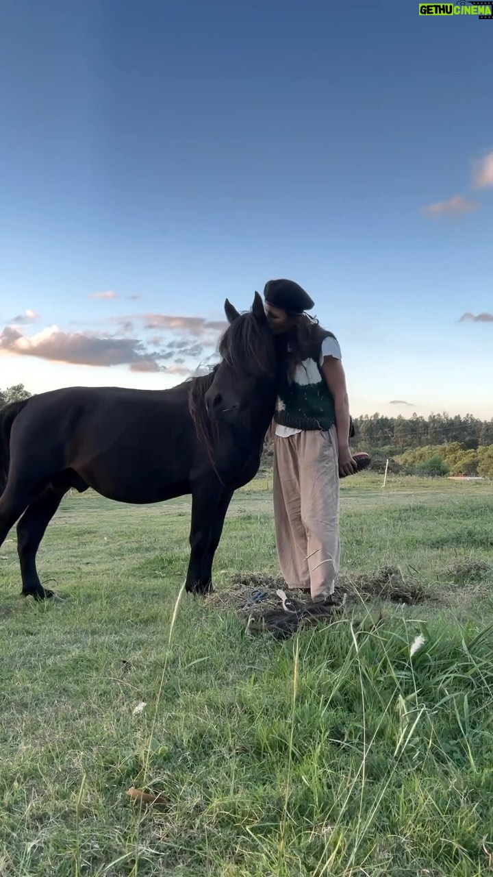Rhona Mitra Instagram - The Liberation of Mini Mandela!! 🖤 The legend formally known as El Negreto has officially been liberated to a life of endless joy, love, free pastures and frolicking with a tribe of buddies by his side to accompany him on his final chapter in this incarnation as a horse 🙌🏾 To the 28 angels thus far who donated and made this happen… from our team here and this little rasta man we thank you from the bottom of our hearts. 🩶 This is the result of kindness and love in action. ✊🏾🖤✊🏾 We CAN alchemize pain into power when we all put our energy together. May his story and his journey of suffering have not been in vain as we continue our fight on his behalf, and for all the other millions like him who live a life of continued slavery and torture. A living symbol for all beings who live under the reign of subjugation and supremacy. And in the spirit of his namesake, he shall go on to be a representation of truth, integrity, spirit…a fighter and beacon of strength and justice for all his kind. Hes got a road of recovery ahead with surgery tomorrow and a ton of work to do on his hooves and legs which have been crippled by years of pulling obscenely heavy carts down tar paved roads for the entirety of his life. It should never have come to this but at least for the remainder of his life he’ll know what it is and was to be loved, respected as an individual sovereign entity and most importantly to be a horse…. Free and at peace with the herd with not a care in the world…. Thank you, gracias…🙏🏾🩶🙏🏾 all our hearts are bursting… #carritodecaballo #caballosuruguay #freedom #subjegation #supremacy #alchemy #loveinaction #whatwedotoanimalswedotoourselves