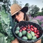 Rhona Mitra Instagram - “The world changes according to the way people see it, and if you alter, even by a millimeter, the way people look at reality, then you can change it.” Natures Infirmary Autumn 🍂 🐴 🩶🌱 🐕 🍄‍🟫 @thelastarkorphanage