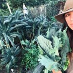 Rhona Mitra Instagram - “The world changes according to the way people see it, and if you alter, even by a millimeter, the way people look at reality, then you can change it.” Natures Infirmary Autumn 🍂 🐴 🩶🌱 🐕 🍄‍🟫 @thelastarkorphanage